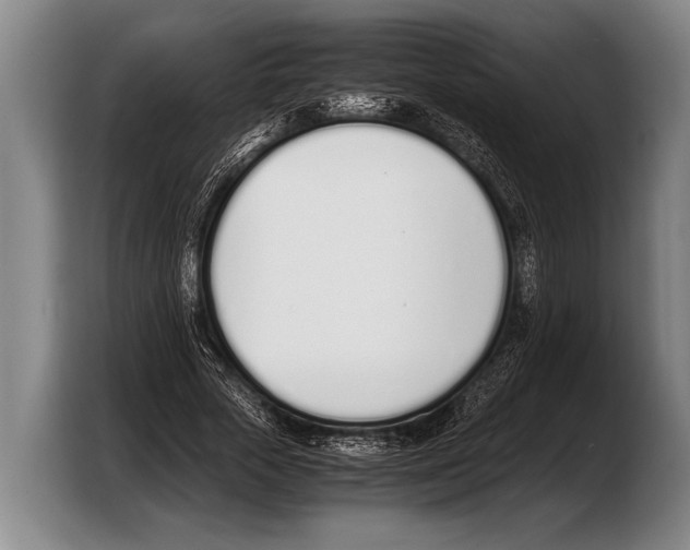 X0000103330729200810061014