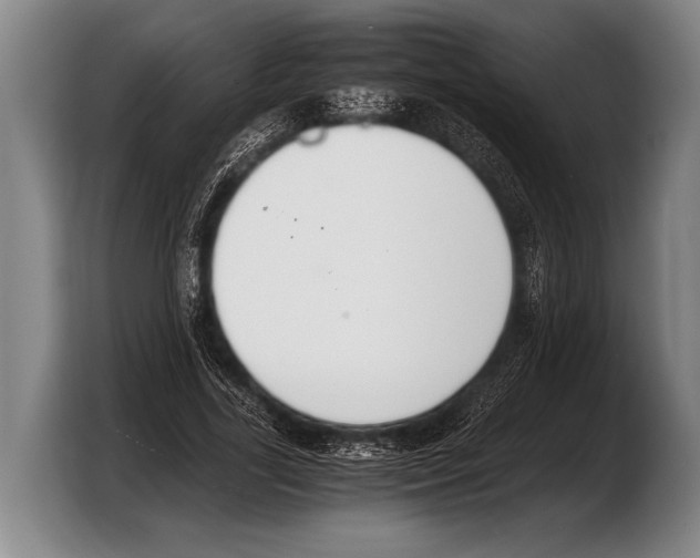 X0000103330731200810061014