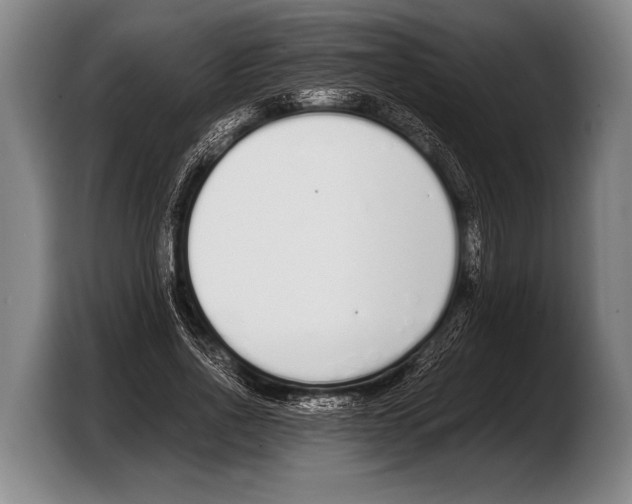 X0000103330734200810061014