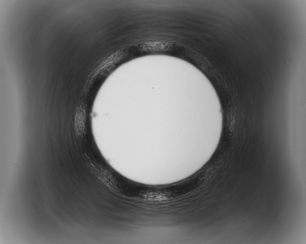 X0000103330735200810061014