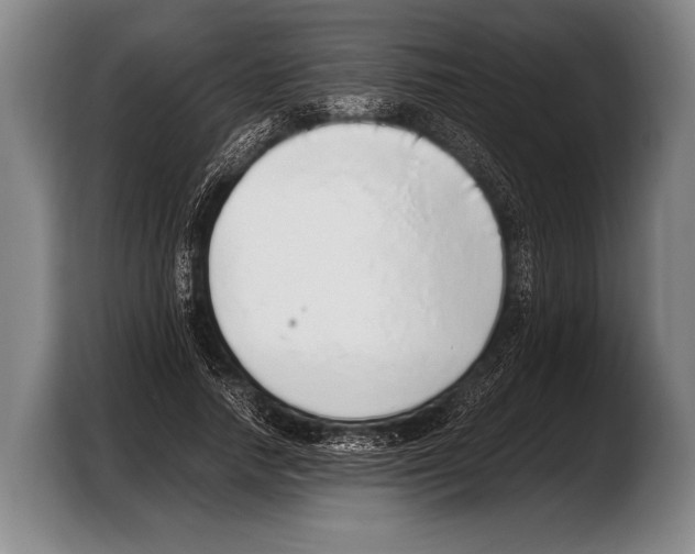 X0000103330738200810061014