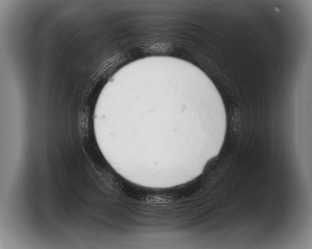 X0000103330739200810061014