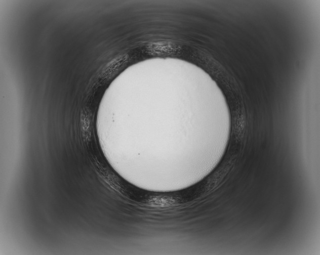 X0000103330749200810061014