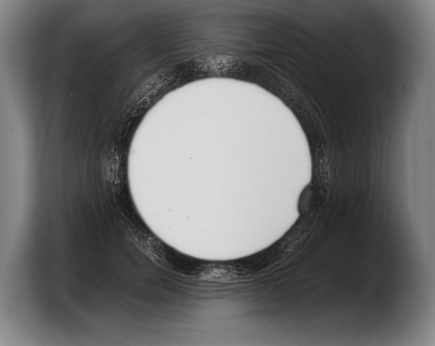 X0000103330750200810061014