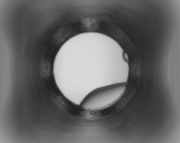 X0000103330752200810061014