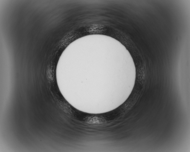 X0000103330755200810061014