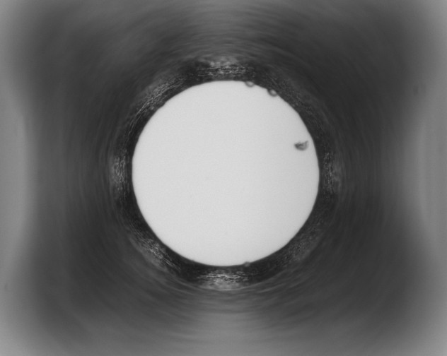 X0000103330756200810061014