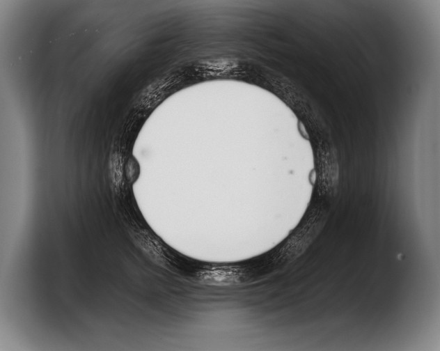 X0000103330758200810061014