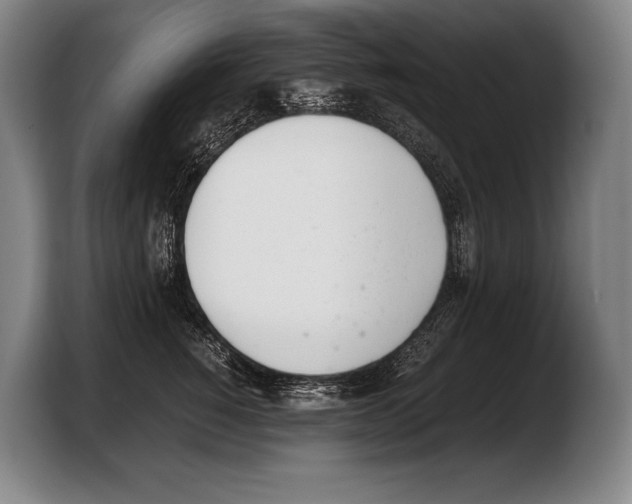 X0000103330760200810061014