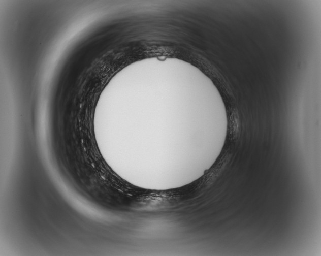 X0000103330764200810061014