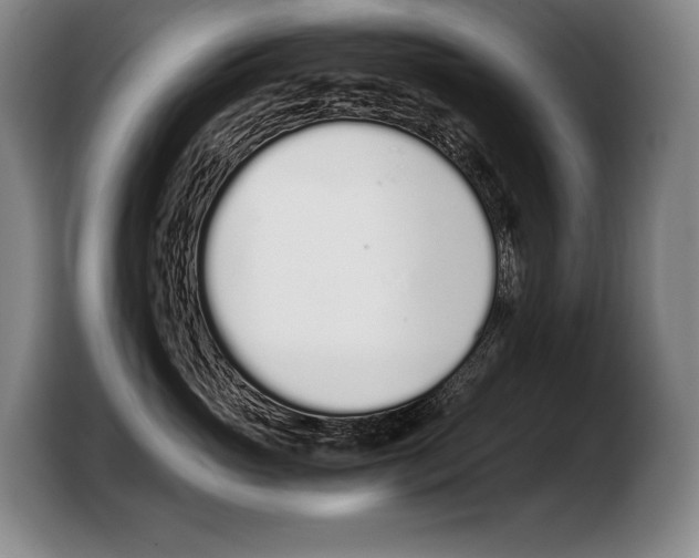 X0000103330765200810061014