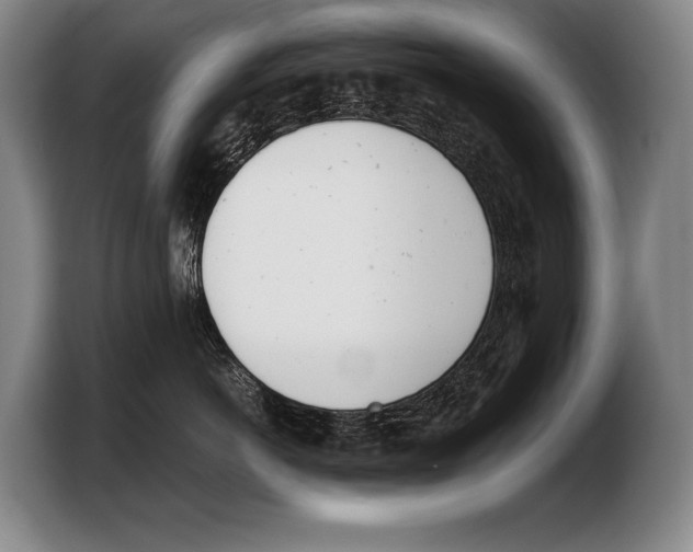 X0000103330766200810061014