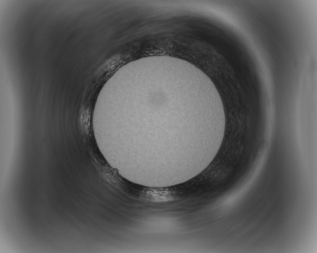 X0000103330767200810061014