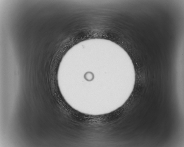 X0000103330769200810061014