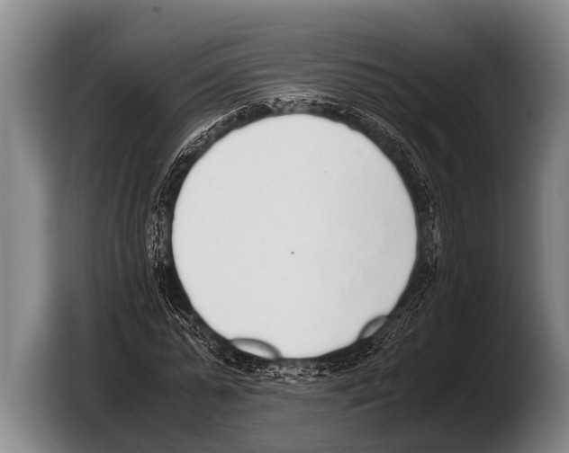 X0000103330775200810061014