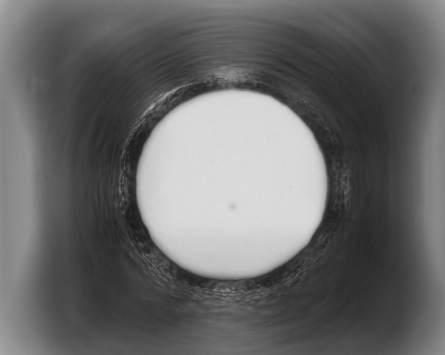 X0000103330776200810061014