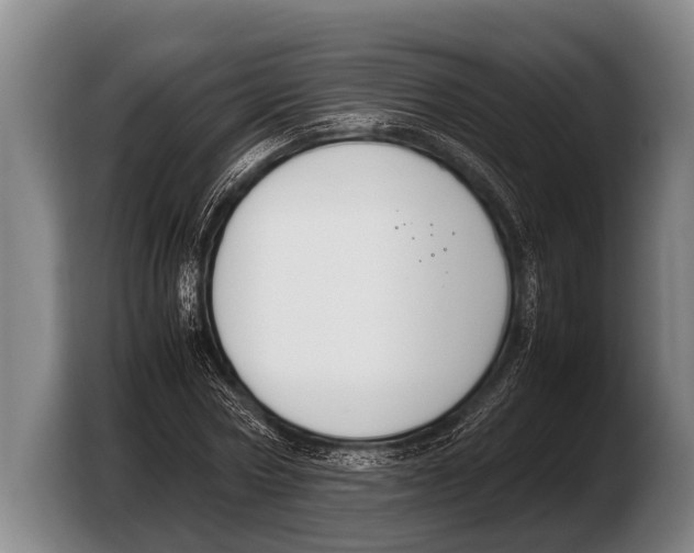 X0000103330778200810061014