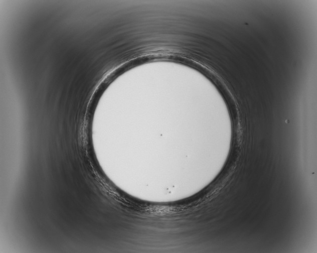 X0000103330783200810061014