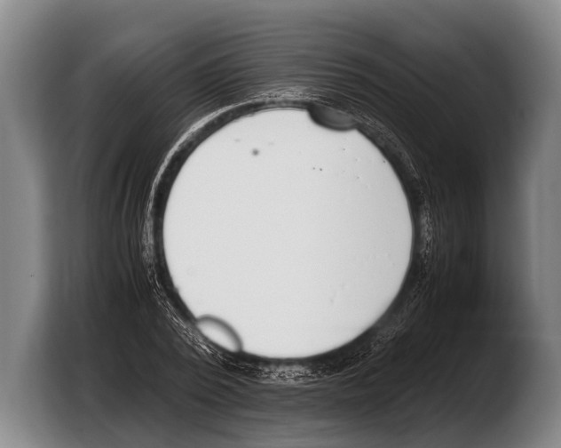 X0000103330784200810061014