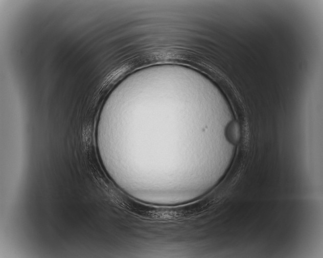 X0000103330785200810061014