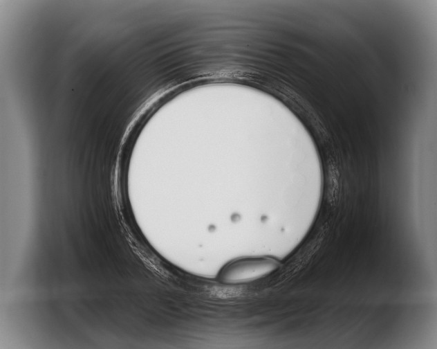 X0000103330788200810061014