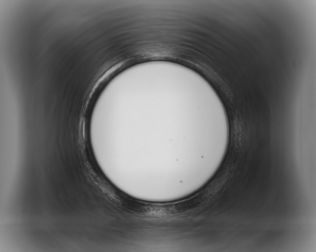 X0000103330790200810061013