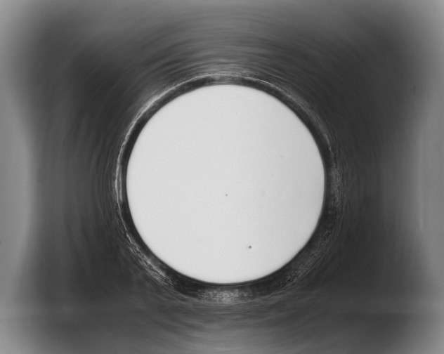 X0000103330791200810061013