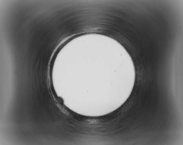 X0000103330792200810061013