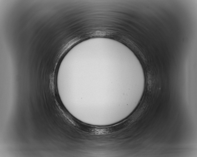 X0000103330794200810061013