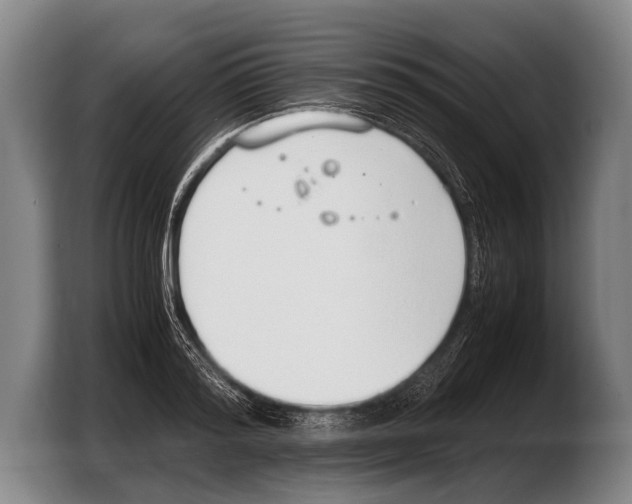 X0000103330796200810061013