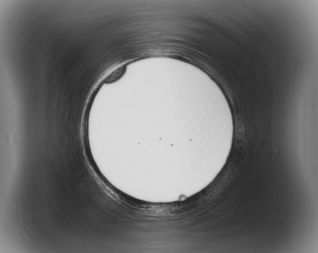 X0000103330803200810061013