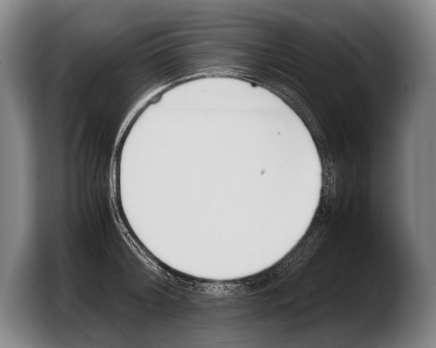 X0000103330804200810061013