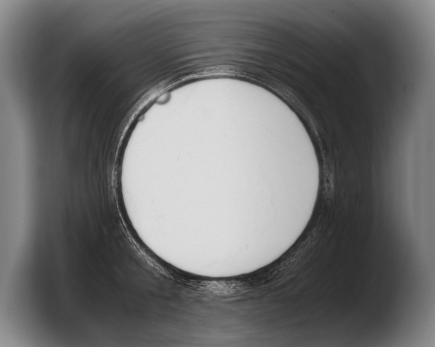 X0000103330805200810061013