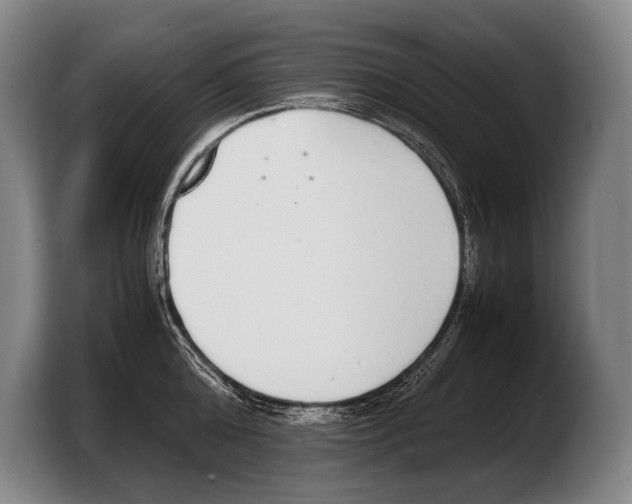 X0000103330808200810061013