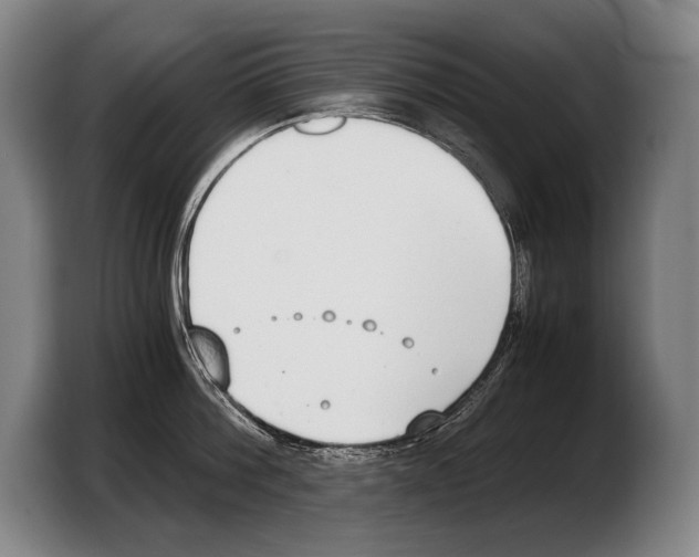 X0000103330812200810061013