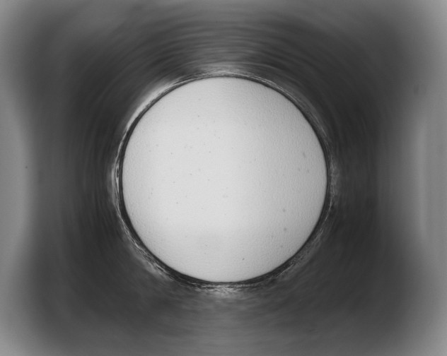 X0000103330814200810061013