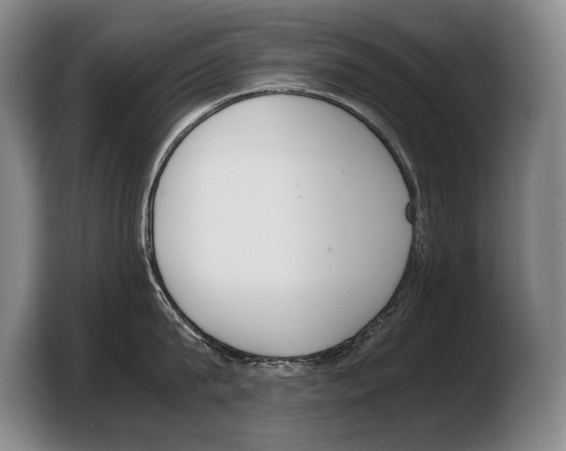 X0000103330815200810061013