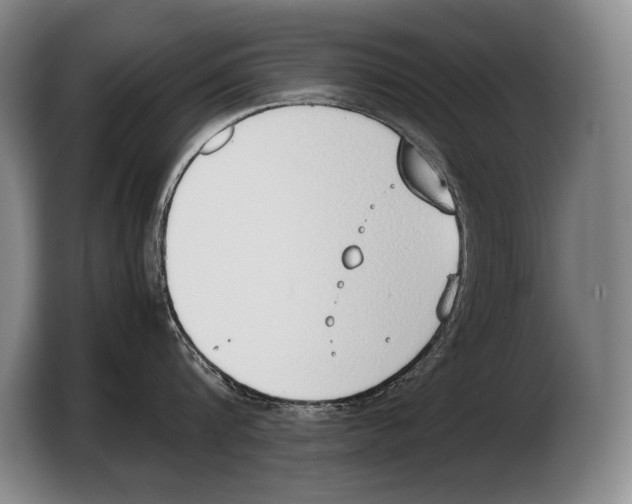 X0000103330816200810061013