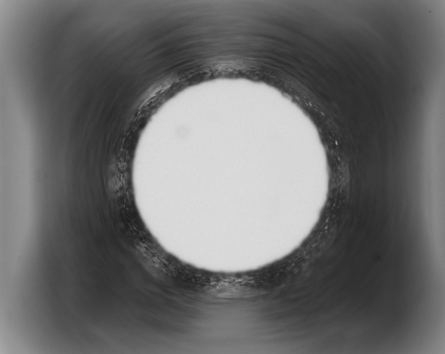 X0000103330824200810061013