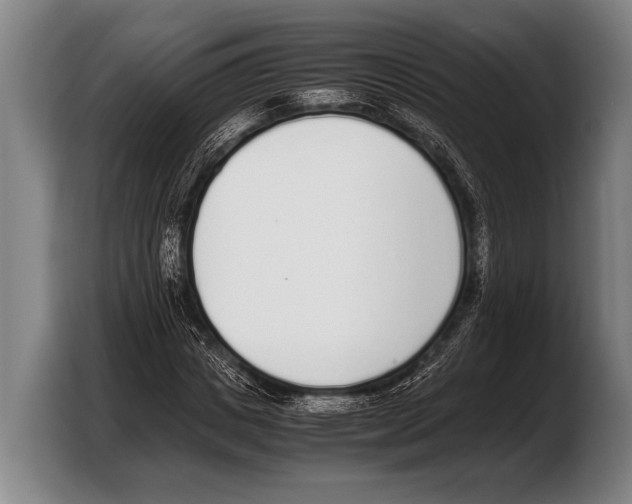 X0000103330825200810061013