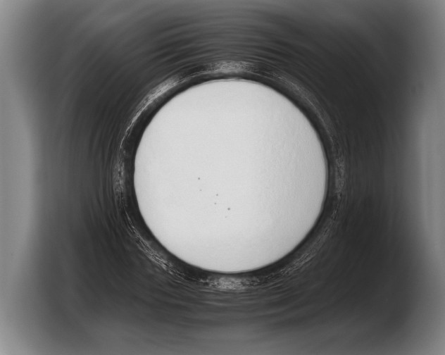 X0000103330827200810061013