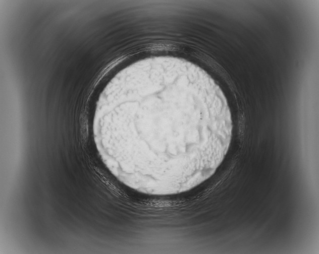 X0000103330829200810061013