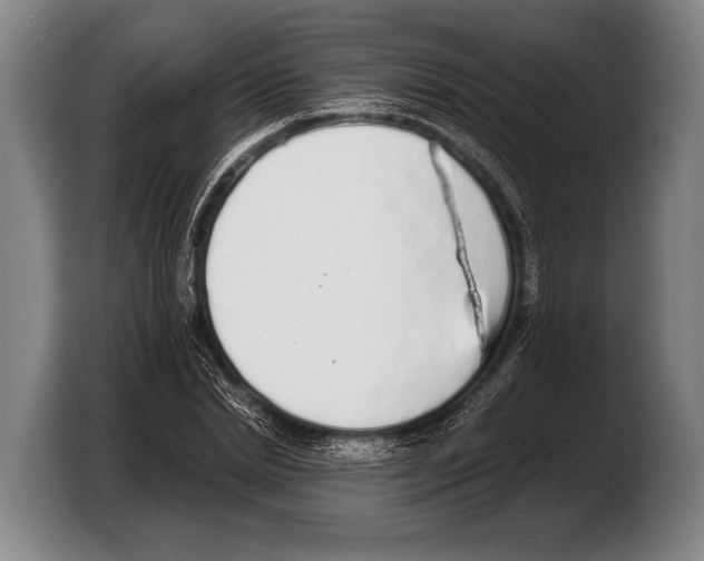 X0000103330830200810061013