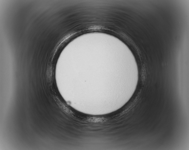 X0000103330831200810061013