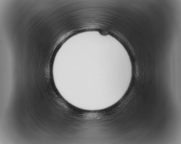 X0000103330834200810061013