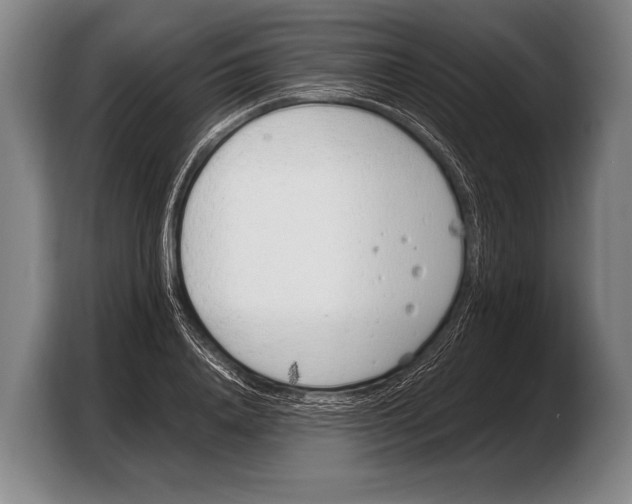 X0000103330840200810061013