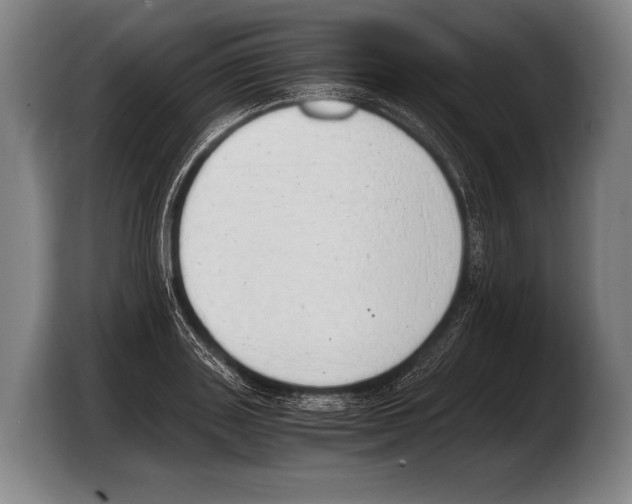 X0000103330843200810061013