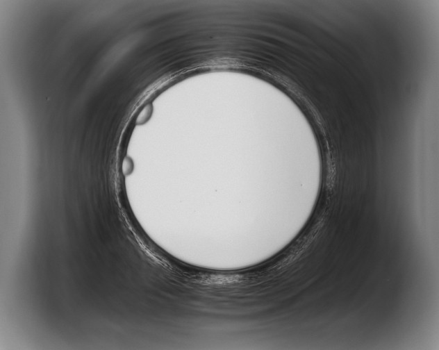 X0000103330845200810061013