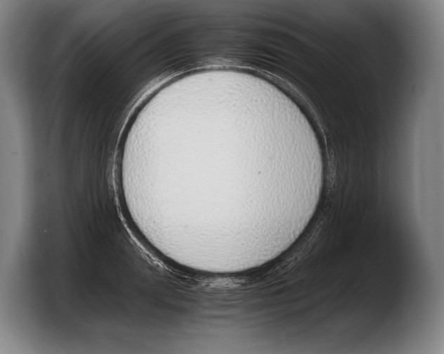 X0000103330847200810061013