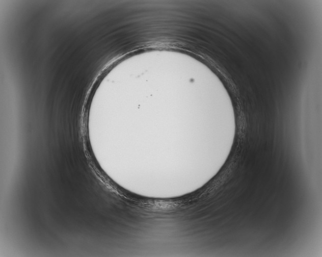 X0000103330848200810061013